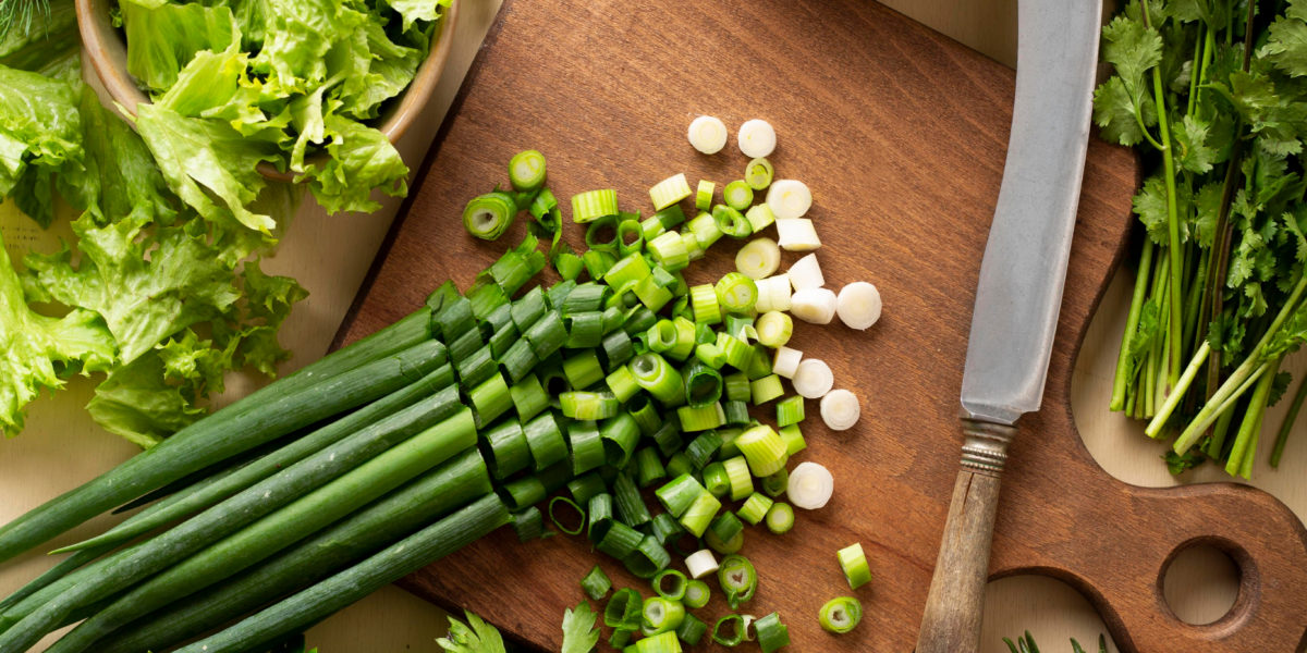 Vestibulum fringilla nisi sollicitudin diam imperdiet malesuada