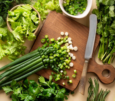 Vestibulum fringilla nisi sollicitudin diam imperdiet malesuada