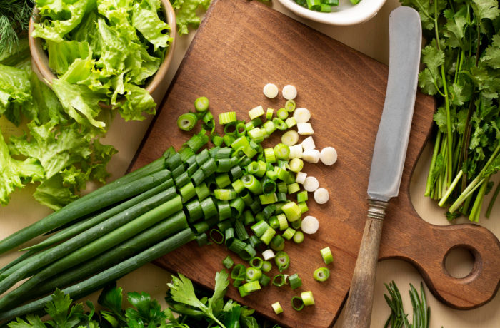 Vestibulum fringilla nisi sollicitudin diam imperdiet malesuada